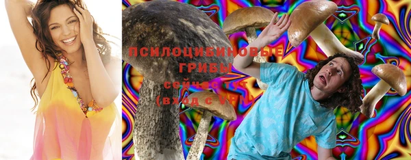 a pvp Киреевск