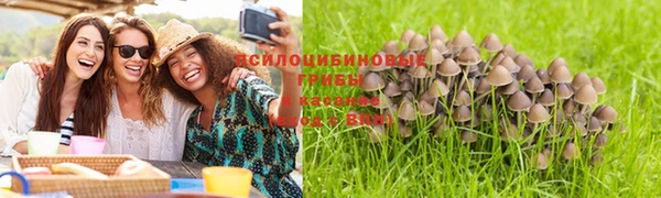 a pvp Киреевск
