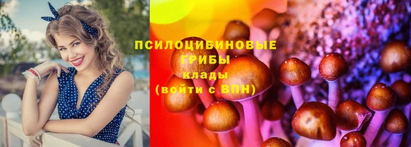 mdma Кинешма