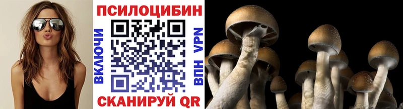 Псилоцибиновые грибы прущие грибы  Купить закладки  Чегем 